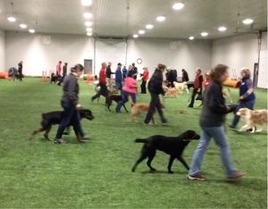 February 2017
Participants are already seeing results from our seminar with Doug Campeau, internationally known & published dog breeder & trainer.