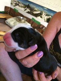 RIP "Bianca"
