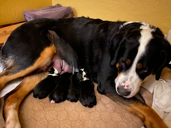 First day, new brood