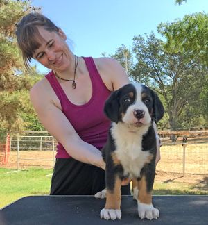 Alta age 7 weeks