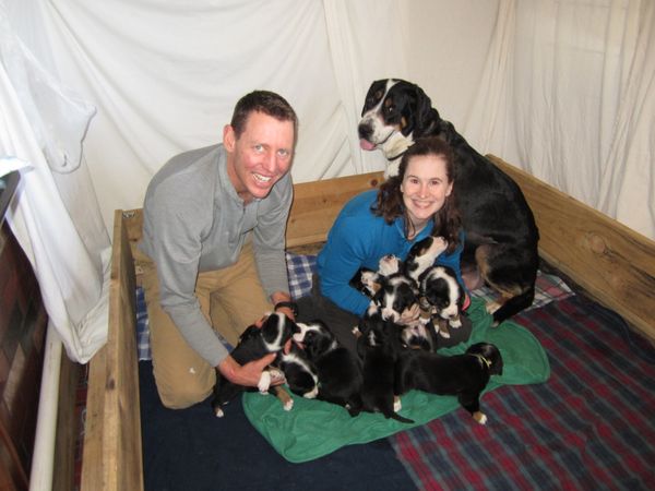 Holly, Jeff and Wookie with 11 Wookie x Hero Puppies, 2013.