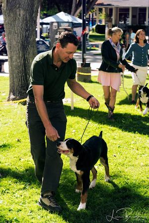 First 4-6 month old AKC puppy show with Jeff