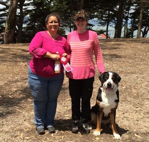 Rally 1st Swiss Dog Day 2015