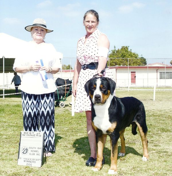 Best of Winners South Bay KC, August 2015