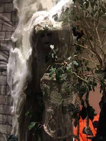 10/2018 Boooohawhawhaw! Happy halloween bat cave! Woo! Check out this phantastic masterpiece we created! 👻 🎃 All the kids will love it! Adults, too!