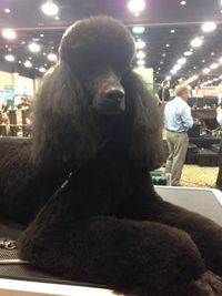 Pasha Moyer, one of Sunny's kids!