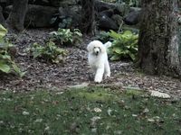 Summer as a baby!