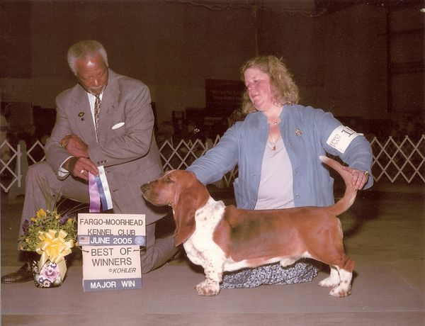 GCh Ch Tchstone Lord Of The Ring (Brauny)