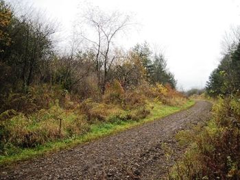 Lindsay Junction 2010. The "station" was approximately where the walking stick is embedded. Looking south. The LB&P line branched off at the right hand edge, and was still just discernible in the scrub.