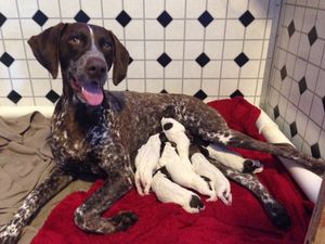 Proud and Happy Momma!