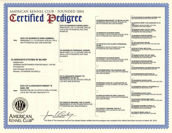 Flynn's Pedigree (Sire)