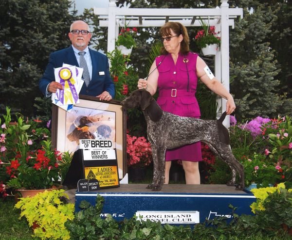 Merry - Best in Specialty Show from the Bred By Class under Judge Michael Canalizo!