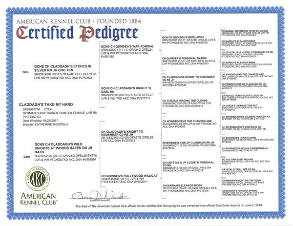 Merry's Pedigree