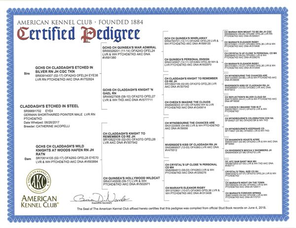 Draxx's Pedigree