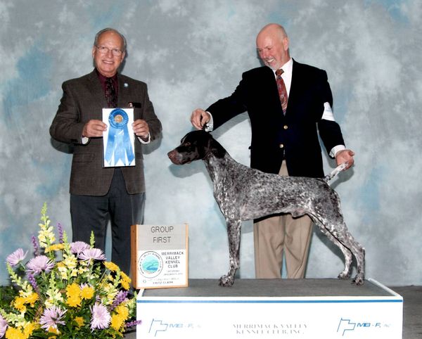 "FLYNN" BISS Ch. Claddagh's Etched In Silver RN JH CGC VC.
Group one under judge Sidney Marx, handled by Dennis Witzske!
