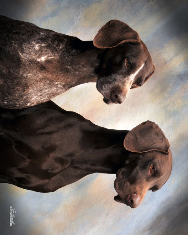 Ceilidh and her son Link