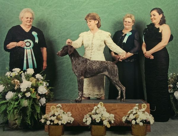 BISS Silver Grand Champion Claddagh's Knight 'N Gael RN CGC
(Ch. Claddagh's Knight
To Remember CD RE JH VC CGC TDI x Ch. Cheza's Imagine The Clouds)