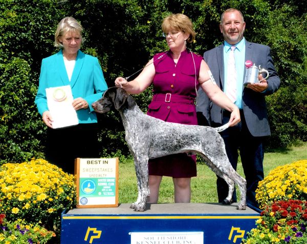Mr. Flynn wins Best in Sweepstakes number 7 at the Mayflower GSPC Specialty in Cape Cod at 13 months of age.
Thank you to breeder judge Diane Stendahl and the Mayflower GSP Club for making this possible!
