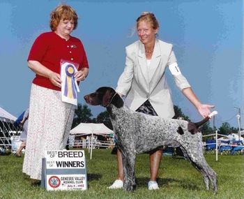 Ch. Olde Ridge Last Laugh, MH (Ch. Cock O' The Walk VJK Parade x Ch. Olde Ridge Who's To Blame) Bred by Ann King and Judy and Anthony Artessa owned by Laura Haak