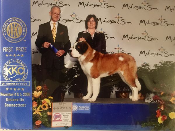 Our first dog show!