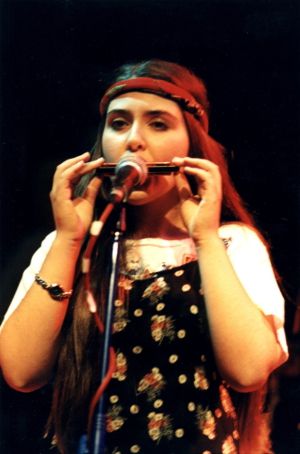 Performing Folk Music