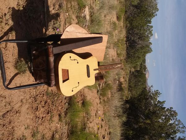 I have had the chance to do a little more work on sweet sixteen. I cut the f-holes and mounted a fishman humbucker, and started the tuning machine pocket. I am still in the Sedona vicinity