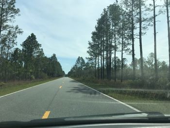 When coming from the north, your final stretch goes through a beautiful and very remote national forest. You won't have cell service, and there's about 40 miles without a gas station, so fill up and download some music ahead of time! The sheriff patrols this highway continually, so no worries if you get a flat or run into trouble.