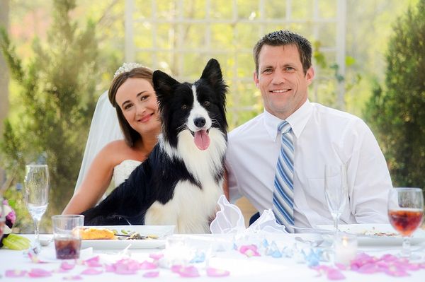 Our "Happily Ever After" 4/13/2013.
