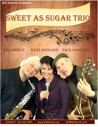 "I love playing with musicians who get it, who know how to play together, exchange melodies, make the music jump and swing. That's what this band does! I LOVE playing with these guys!" bill shontz
GO TO THE MUSIC PAGE AT THE BOTTOM FOR SONG DEMOS!!
