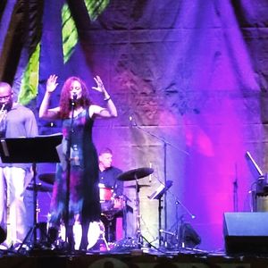 Live Show 2016 / Terri Jo Jenkins & band