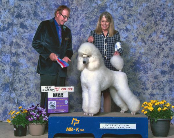 Maggie's Championship picture!!