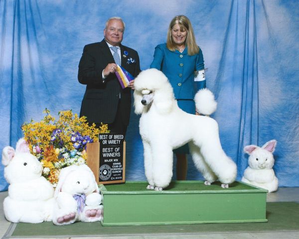 CH. Litilann's Skybreeze Tidal Wave (Maggie)