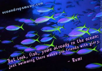 "But look, fish, you're already in the ocean: just swimming there makes you friends with glory." #Rumi