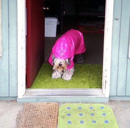 Nisa loves going to college in Oregon. But she doesn't like the rain!