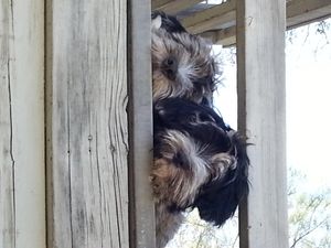 Maybe she won't see us!