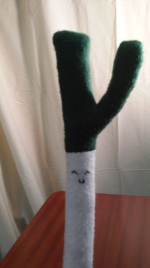 And finally, The Awesome Leek of Doom, our boned leek, who conveys the wrath of Sharon, our music director, when a member misbehaves.