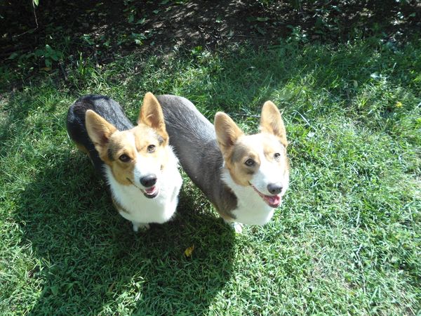 These two Ladies are also Best Friends!