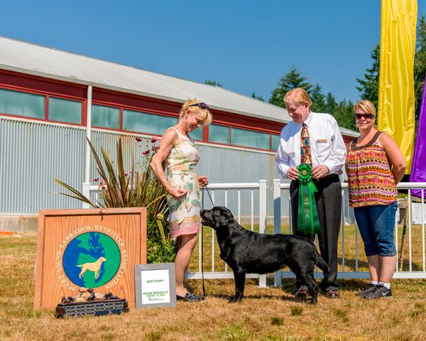 Lucy ~ BPIS PSLRA Specialty 8/2014
Under Judge Greg Lynch