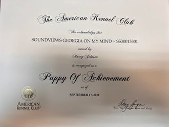 Georgia Puppy Of Achievement