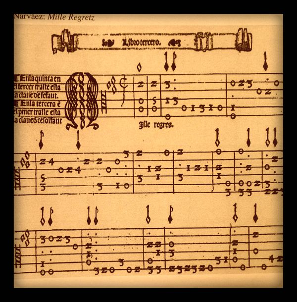 From the 'tablature' score of 'Mille Regretz'