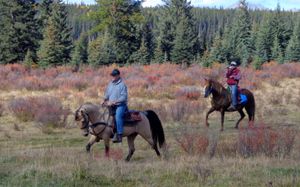 Dale on Phoenix (Tennessee Walking Horse) followed by 3/4 Peruvian CM Rayo, ridden by Oscar Vasquez.