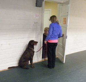 Learning to sit quietly when visitor is at the door