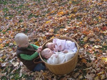 That's Avery on the far side of the basket. Her basketmate is cousin Eli, and Eli's brother, Jack, watches from the outside.
