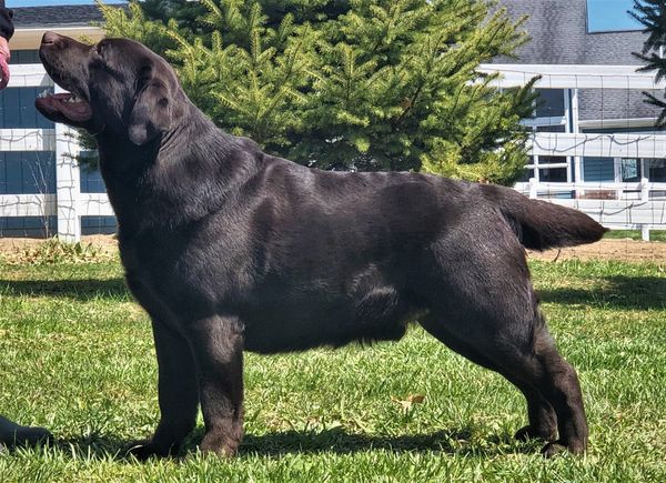 Barrett - 15 months old!