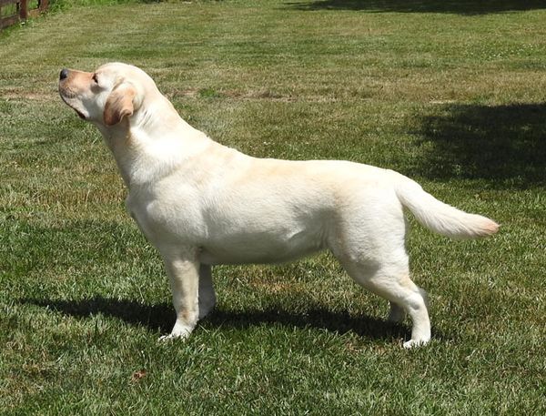 Bishop at 2 years old!