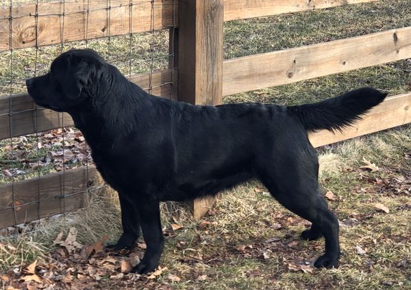 Maddie - 2 years old!