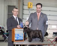 Best of Winners Jan 2014