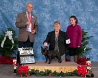 Valley Forge Kennel Club - Owner/Handled
