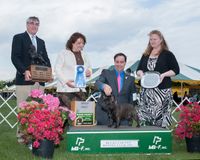 Bucks County Kennel Club Non-Sporting Group 1