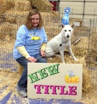 Kisha is the very first Kishu Ken to earn the Barn Hunt title. Congratulations to Marion and Kisha.